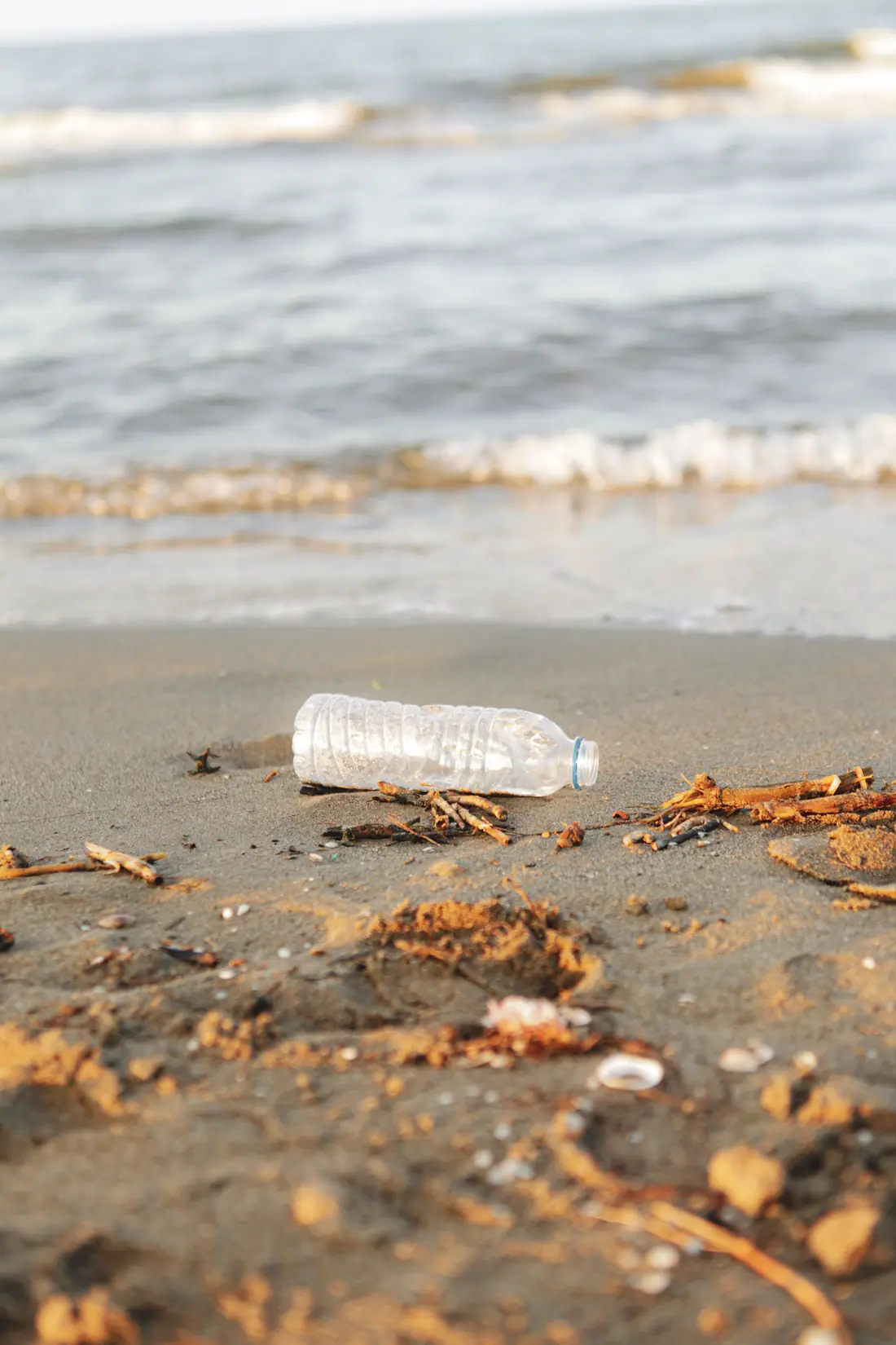 A plastic bottle on dark sand with scattered debris and soft surf behind.
