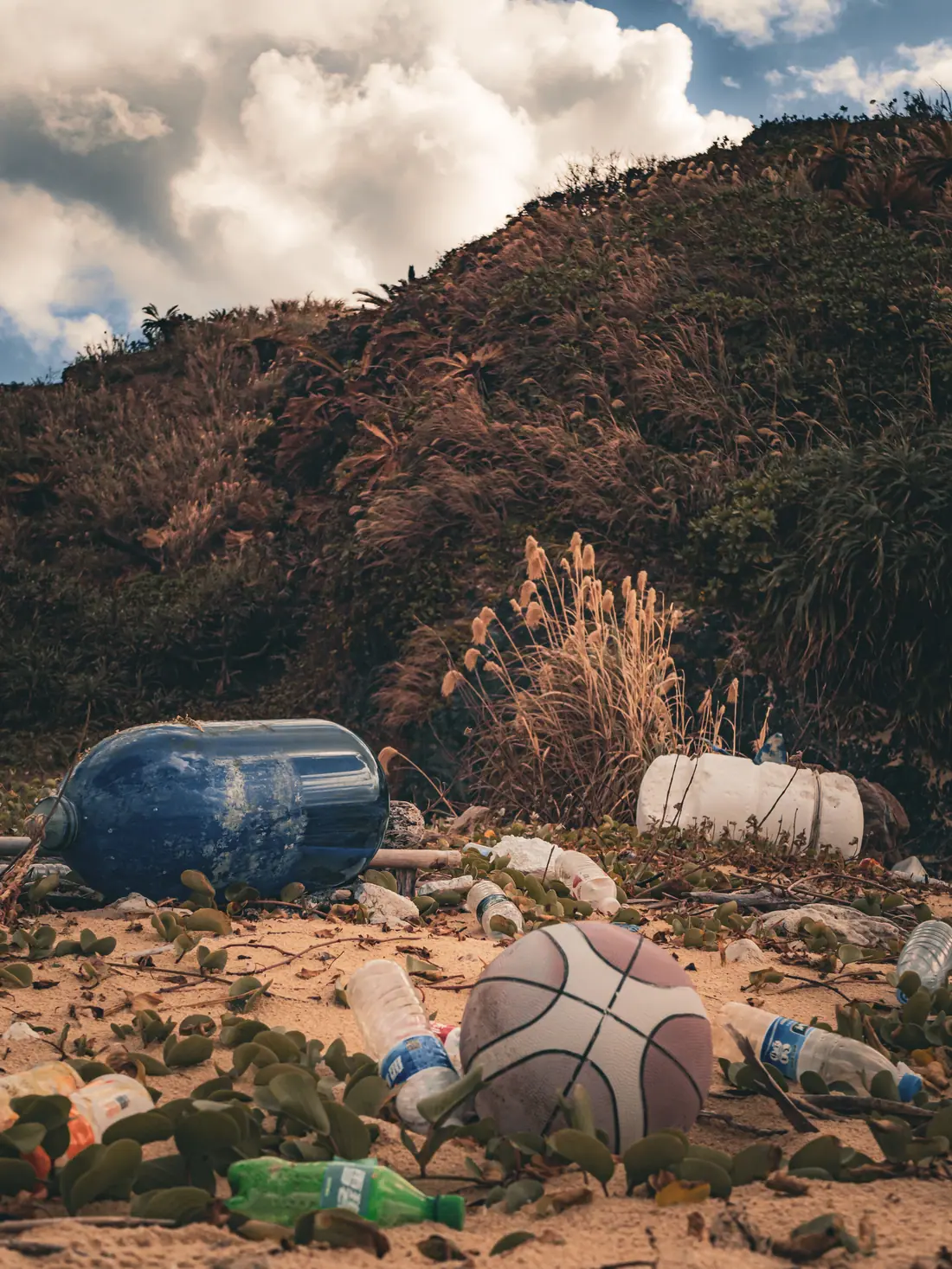 Plastic bottles, a basketball and large floats lying on a vegetated dune beneath a grassy hillside.