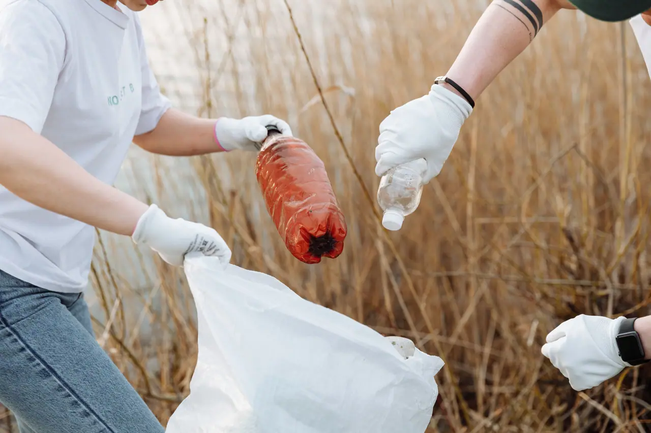 Gloved hands holding plastic bottles and a white bag while picking litter from dry reeds.